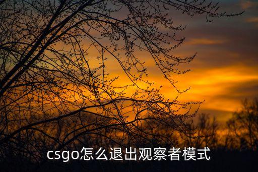 csgo手游怎么退出观战，csgo怎么退出观察者模式