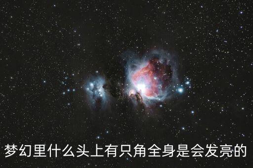 梦幻里什么头上有只角全身是会发亮的