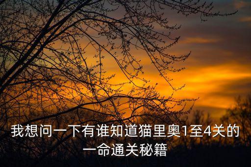 我想问一下有谁知道猫里奥1至4关的一命通关秘籍