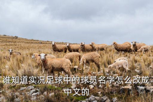 谁知道实况足球中的球员名字怎么改成中文的
