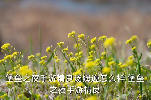 堡垒之夜手游精良汤姆逊怎么样 堡垒之夜手游精良