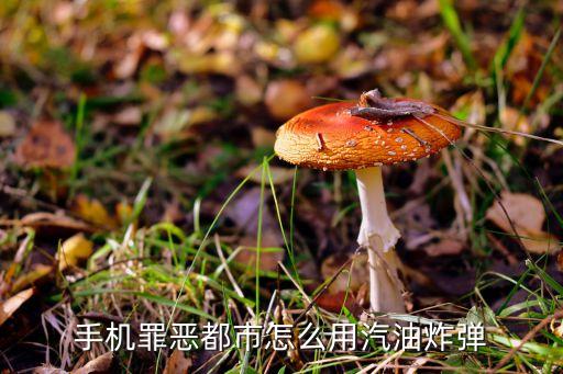 手机罪恶都市怎么用汽油炸弹