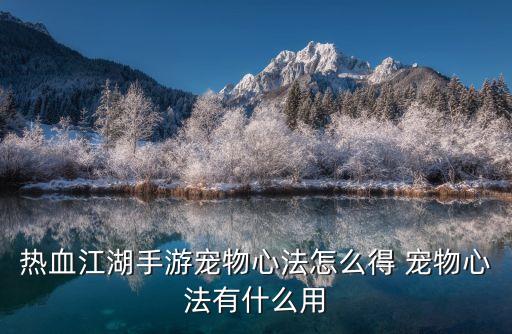 热血江湖手游宠物心法怎么得 宠物心法有什么用