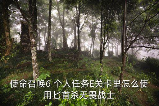 使命召唤6 个人任务E关卡里怎么使用匕首杀无畏战士
