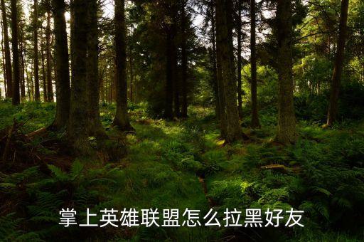掌上英雄联盟怎么拉黑好友