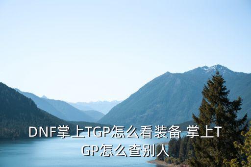 DNF掌上TGP怎么看装备 掌上TGP怎么查别人