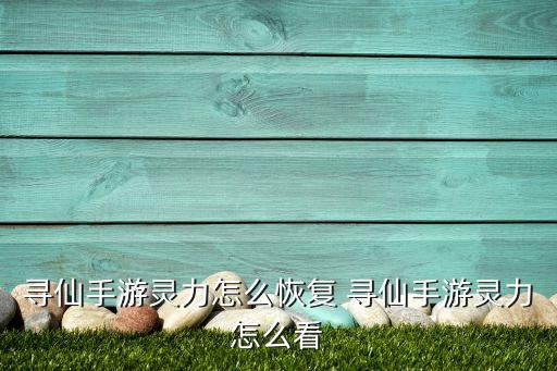 寻仙手游灵力怎么恢复 寻仙手游灵力怎么看