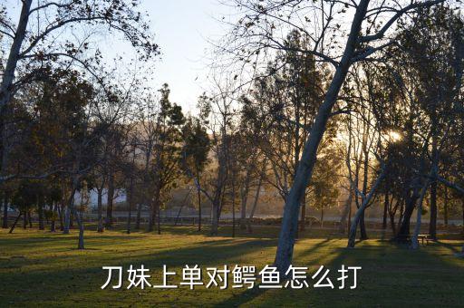 刀妹上单对鳄鱼怎么打