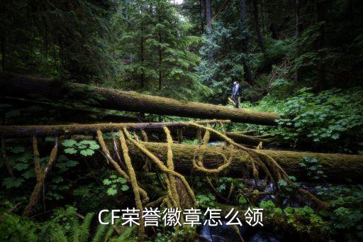 CF荣誉徽章怎么领