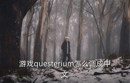 腐蚀手游怎么换中文，游戏questerium怎么调成中文