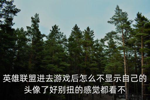 英雄联盟进去游戏后怎么不显示自己的头像了好别扭的感觉都看不