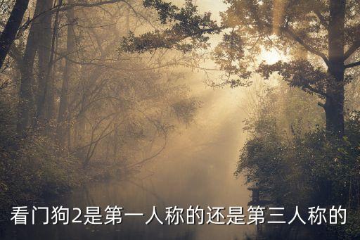 看门狗2手游怎么开第一人称，godv第一人称设置