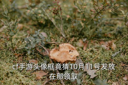 cf手游头像框竟猜10月11号发放在那领取