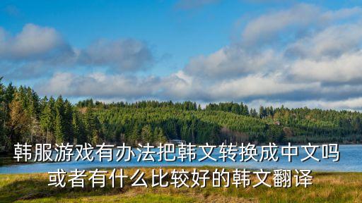 韩服游戏有办法把韩文转换成中文吗 或者有什么比较好的韩文翻译