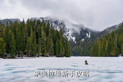 求奥拉星新手攻略