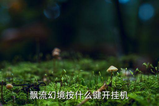 飘流幻境按什么键开挂机