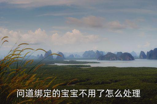 问道绑定的宝宝不用了怎么处理