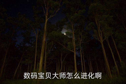 数码宝贝大师怎么进化啊