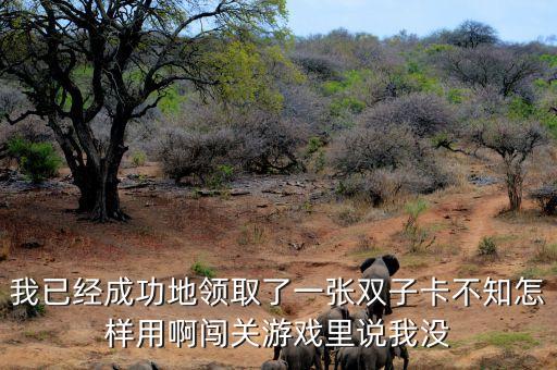 我已经成功地领取了一张双子卡不知怎样用啊闯关游戏里说我没