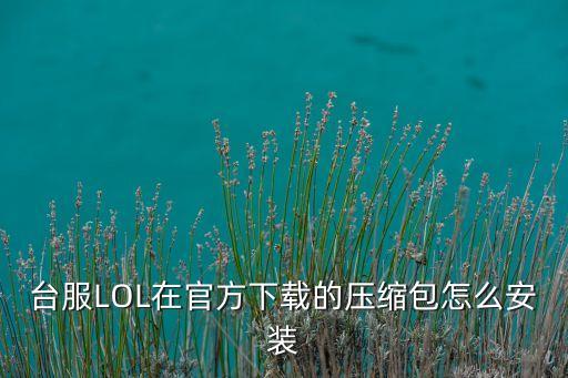 台服LOL在官方下载的压缩包怎么安装