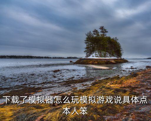 下载了模拟器怎么玩模拟游戏说具体点本人笨