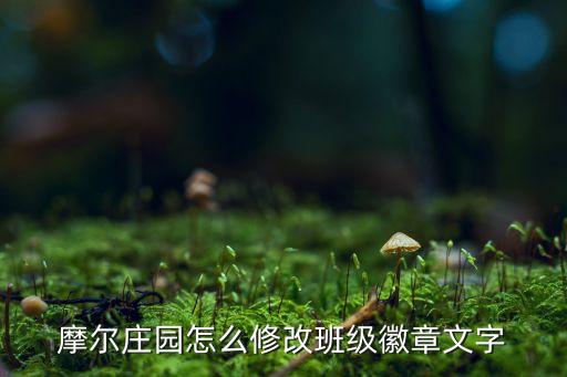 摩尔庄园怎么修改班级徽章文字