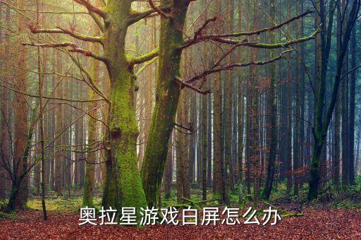 奥拉星游戏白屏怎么办