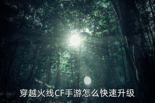 穿越火线手游怎么卡满级，穿越火线CF手游怎么快速升级