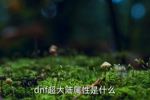 dnf超大陆属性是什么