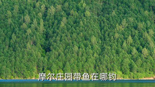 摩尔庄园手游里怎么钓鱼，摩尔庄园带鱼在哪钓