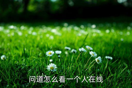 手游怎么看好友在不在线，我在玩游戏时怎知道好友上线