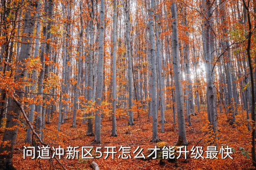 问道冲新区5开怎么才能升级最快