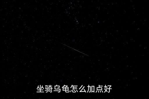 坐骑乌龟怎么加点好