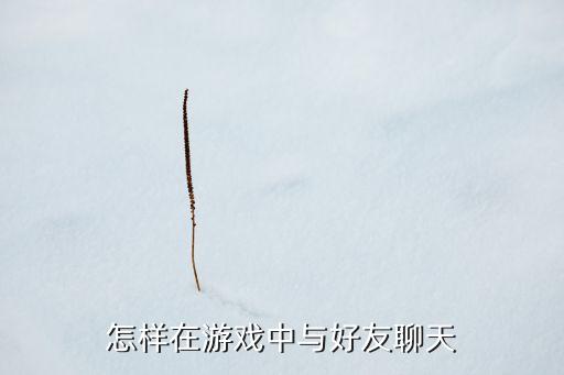 怎样在游戏中与好友聊天