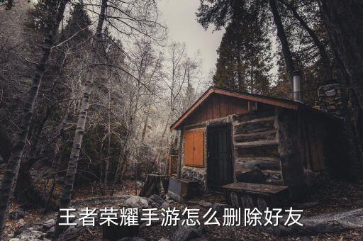 手游里怎么删好友，王者荣耀怎么删除好友