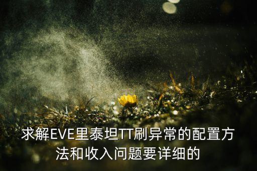 求解EVE里泰坦TT刷异常的配置方法和收入问题要详细的