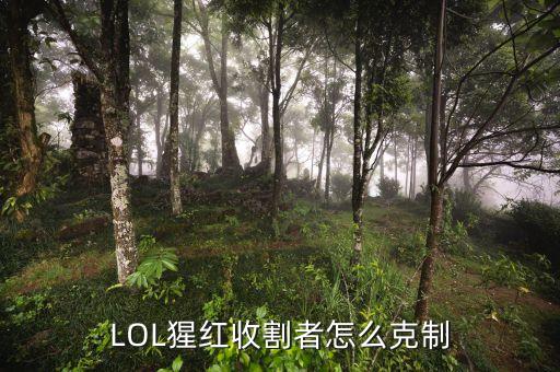 英雄联盟手游输出多怎么克制，LOL怎么克AD易大师
