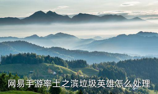 网易手游率土之滨垃圾英雄怎么处理