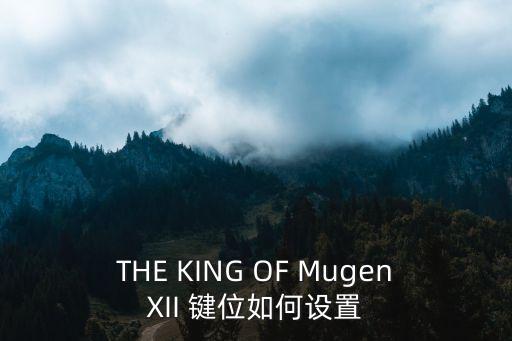 THE KING OF MugenXII 键位如何设置