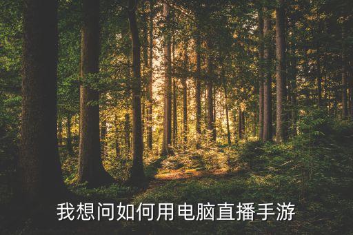 我想问如何用电脑直播手游