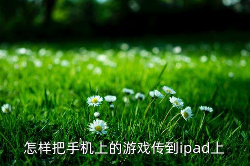 英雄联盟手游游戏怎么转到苹果，怎样把手机的游戏数据转移到另一个手机上