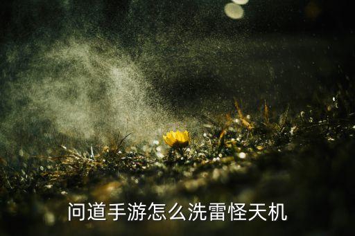 问道手游怎么洗雷怪天机