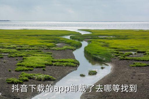 抖音下载的app卸载了去哪等找到
