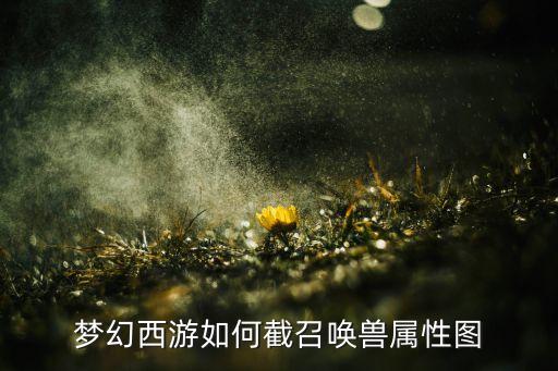 梦幻手游召唤兽怎么画，梦幻西游手游怎么把宠物图鉴发到聊天频道里