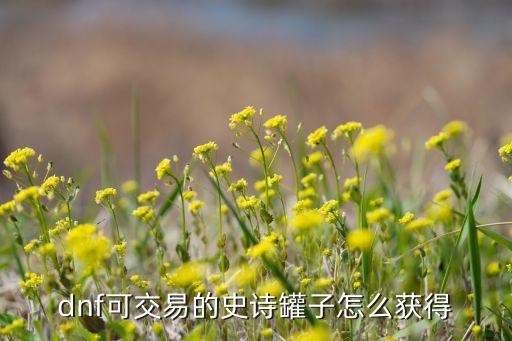 dnf手游史诗盒子怎么获得，dnf可交易的史诗罐子怎么获得