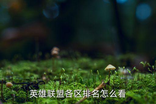 英雄联盟各区排名怎么看