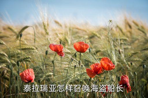 泰拉瑞亚手游海盗船怎么得，泰拉瑞亚怎么去海盗船