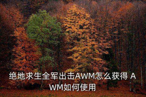 绝地求生全军出击AWM怎么获得 AWM如何使用