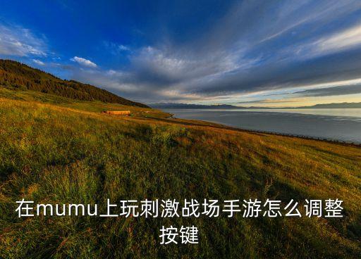在mumu上玩刺激战场手游怎么调整按键