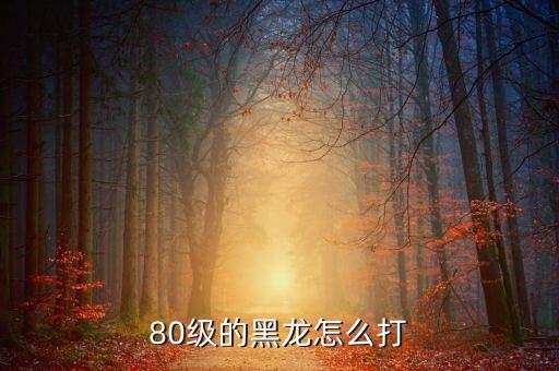 忍者手游黑龙怎么打，80级的黑龙怎么打